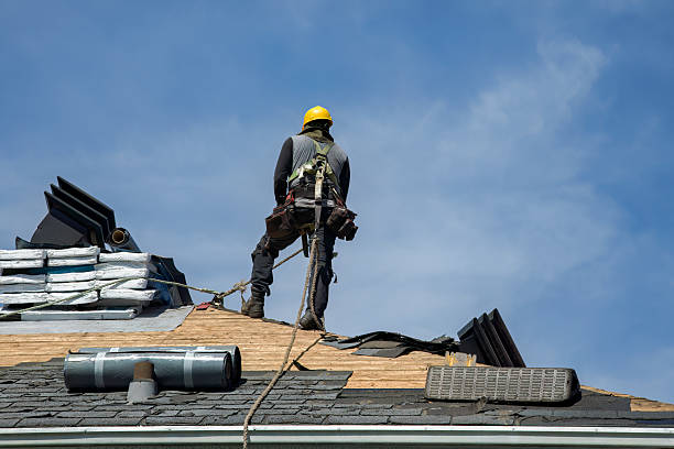 Professional Roof Replacement technician working in Arcola, IN